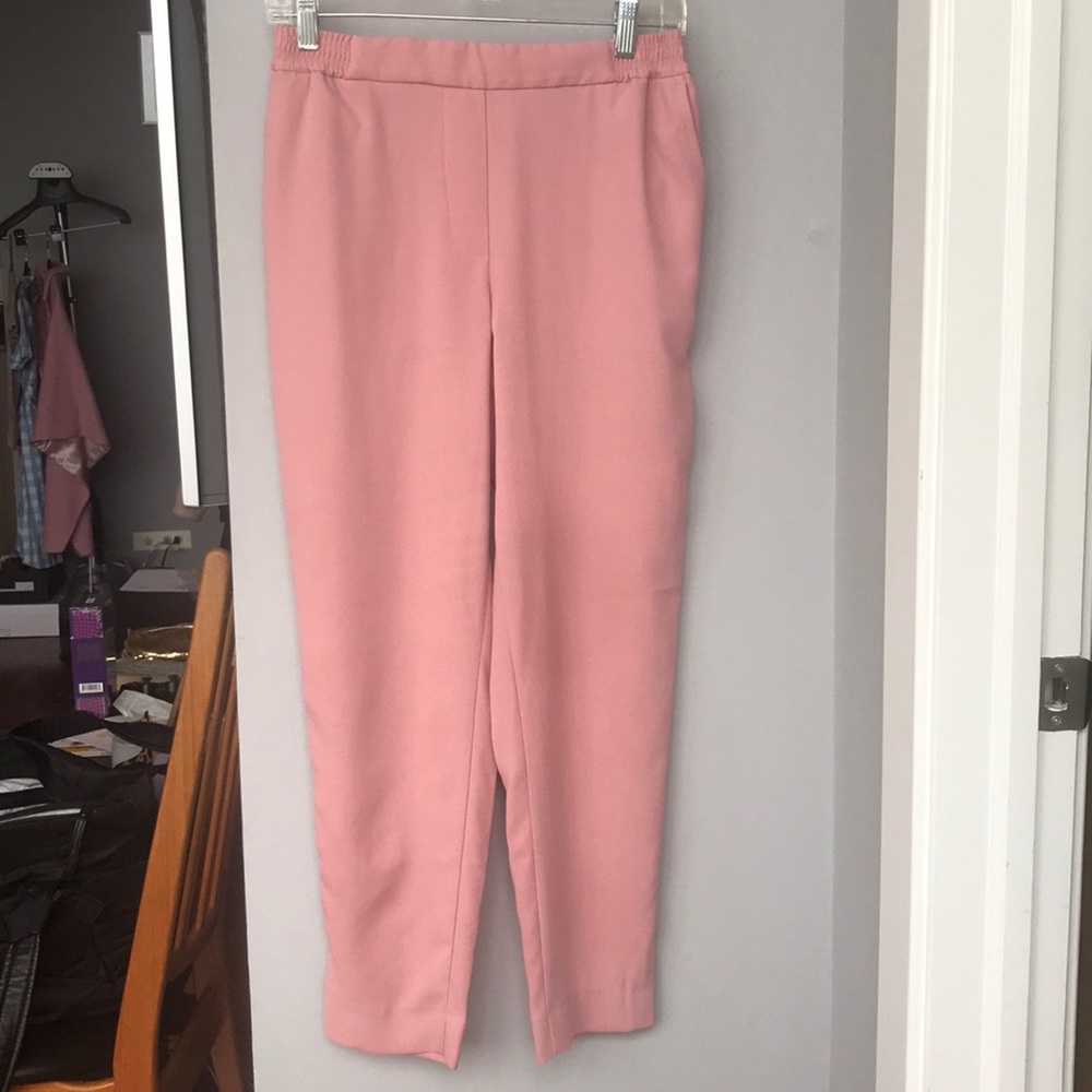 Anthropologie Trouser, XS